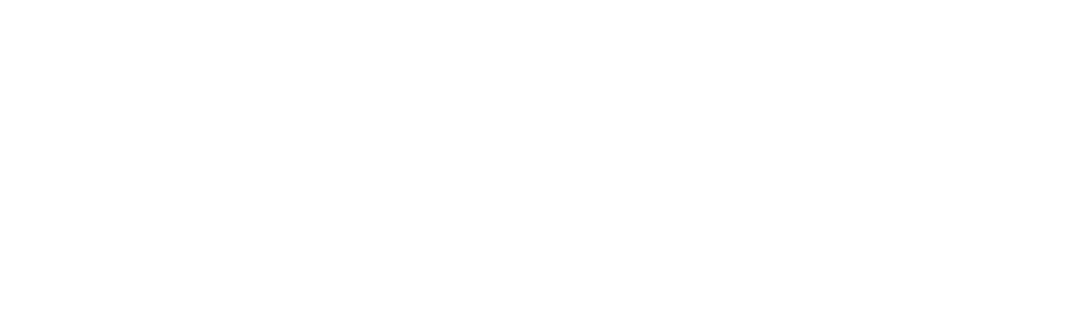 Electric City